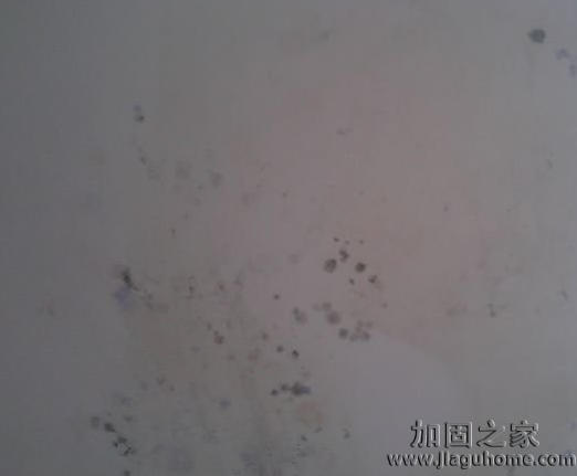 防止防水公司的霸王条款